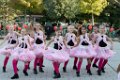 Schoolplein Festival A296